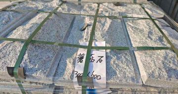 六盘水芝麻白蘑菇石，自然面